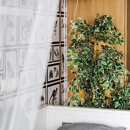 Apartment Butique